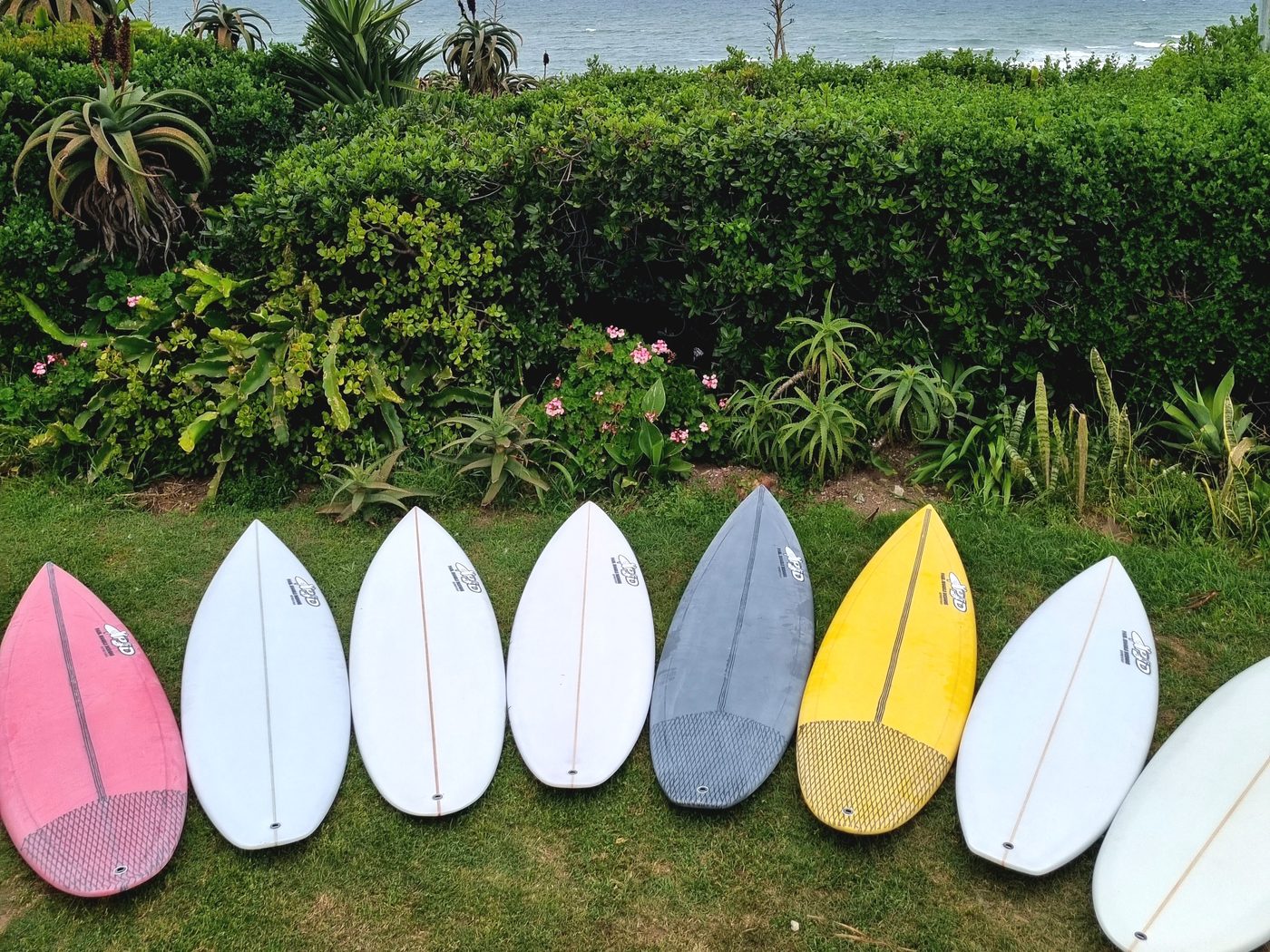A row of finished Paul Jeggels Designs surfboards resting on the grass by a hedge with the sea behind them.